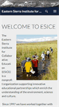 Mobile Screenshot of esice.org